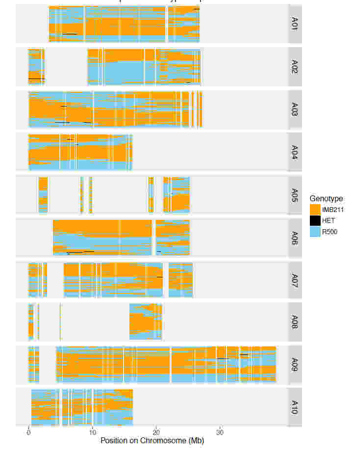 使用RNA-seq進(jìn)行基因組支架放置，校正裝配和遺傳圖譜創(chuàng)建